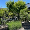 実際訪問したユーザーが直接撮影して投稿した相坂カフェ農園カフェ 日々木の写真