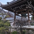 実際訪問したユーザーが直接撮影して投稿した犬山寺圓明寺の写真