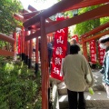 実際訪問したユーザーが直接撮影して投稿した雪ノ下神社丸山稲荷社の写真