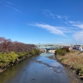 実際訪問したユーザーが直接撮影して投稿した河川五条川の写真