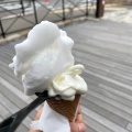 実際訪問したユーザーが直接撮影して投稿した東川崎町アイスクリームIceCreamUnited Japanの写真