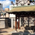 実際訪問したユーザーが直接撮影して投稿した兵庫町神社みなと八幡神社の写真