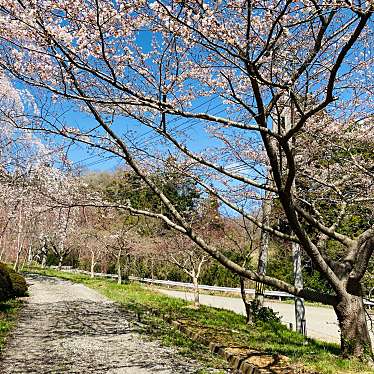 実際訪問したユーザーが直接撮影して投稿した末吉公園高山右近記念公園の写真