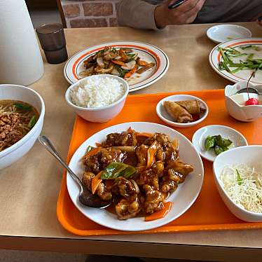 実際訪問したユーザーが直接撮影して投稿した佐野台湾料理台湾料理 興福順 裾野店の写真