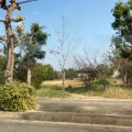 実際訪問したユーザーが直接撮影して投稿した嬉野中川新町公園木ノ本公園の写真