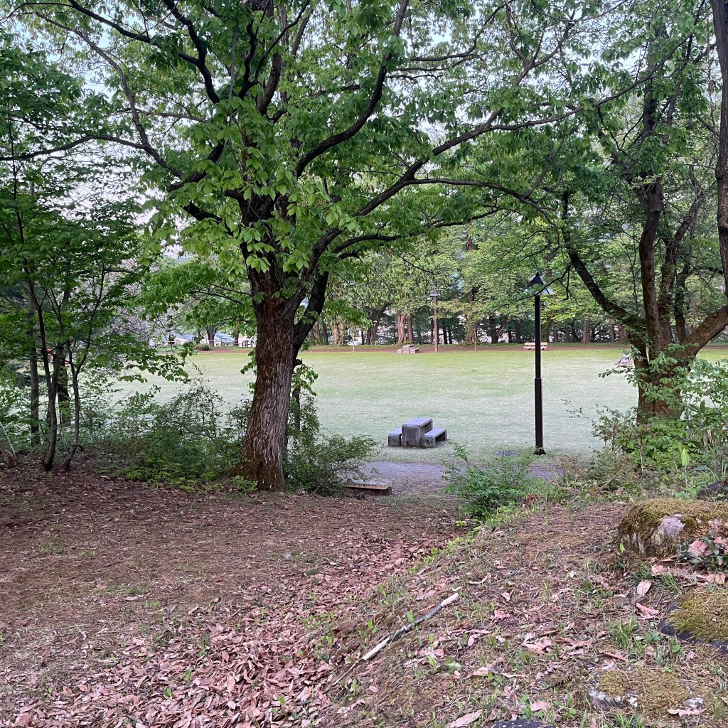 実際訪問したユーザーが直接撮影して投稿した小出雲公園経塚山公園の写真