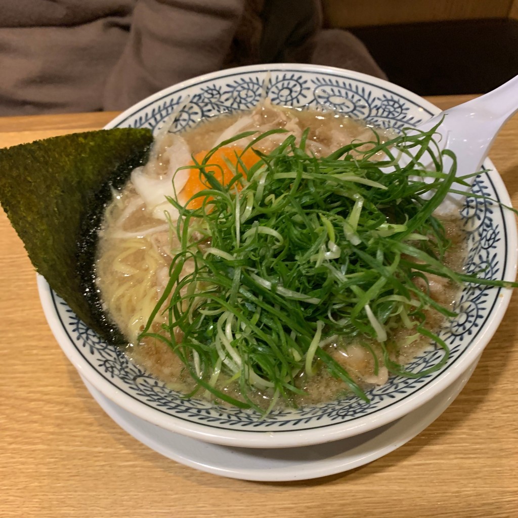 ユーザーが投稿したネギ肉ラーメンの写真 - 実際訪問したユーザーが直接撮影して投稿した毛馬町ラーメン専門店丸源ラーメン 都島店の写真