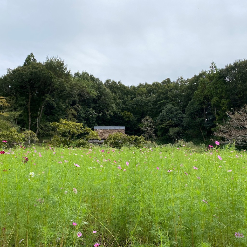 実際訪問したユーザーが直接撮影して投稿した山之上町ベーカリー饅華堂の写真