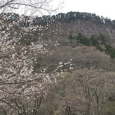 実際訪問したユーザーが直接撮影して投稿した長野岩屏風岩公苑の写真