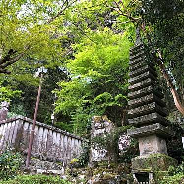 実際訪問したユーザーが直接撮影して投稿した修善寺寺指月殿の写真