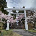 実際訪問したユーザーが直接撮影して投稿した見祢山神社土津神社の写真