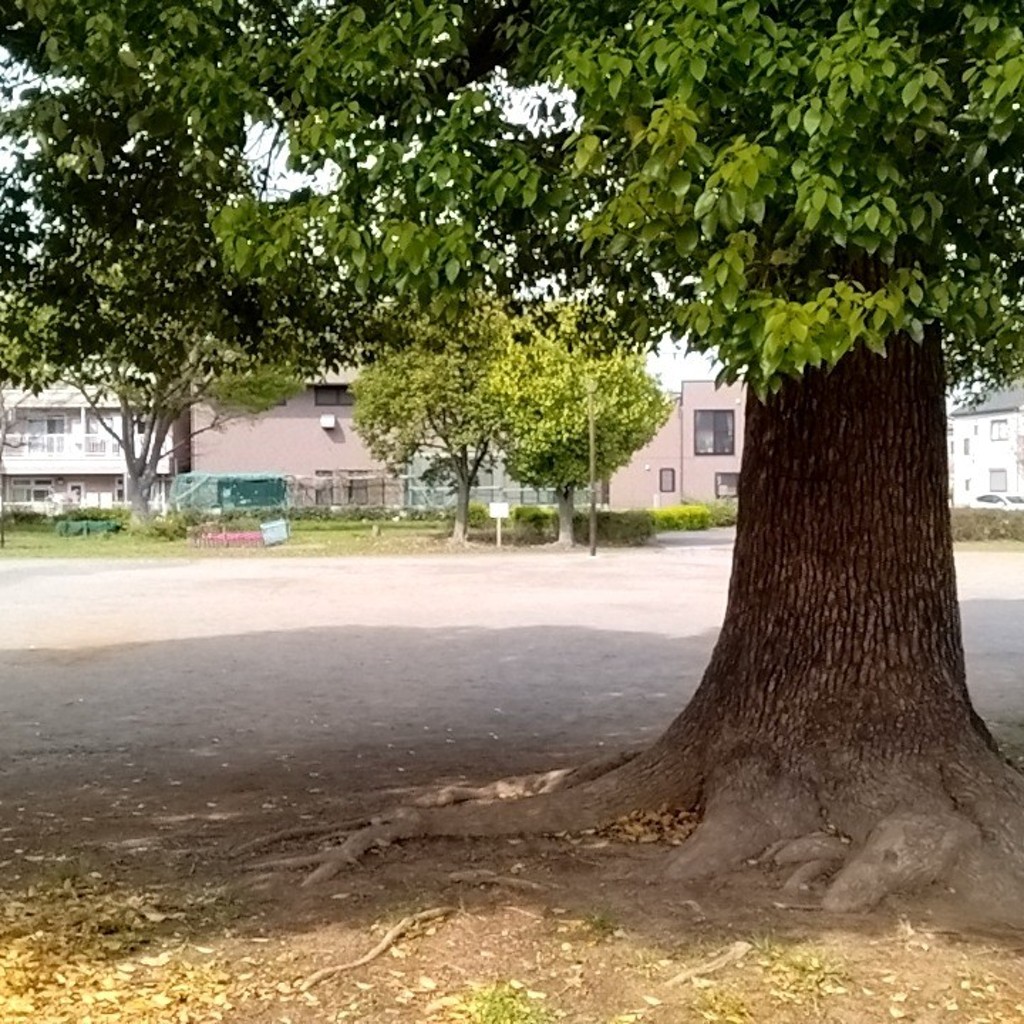 実際訪問したユーザーが直接撮影して投稿した北栄イタリアン樫の木の写真