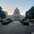 実際訪問したユーザーが直接撮影して投稿した永田町庭園国会前庭(北庭・南庭)の写真