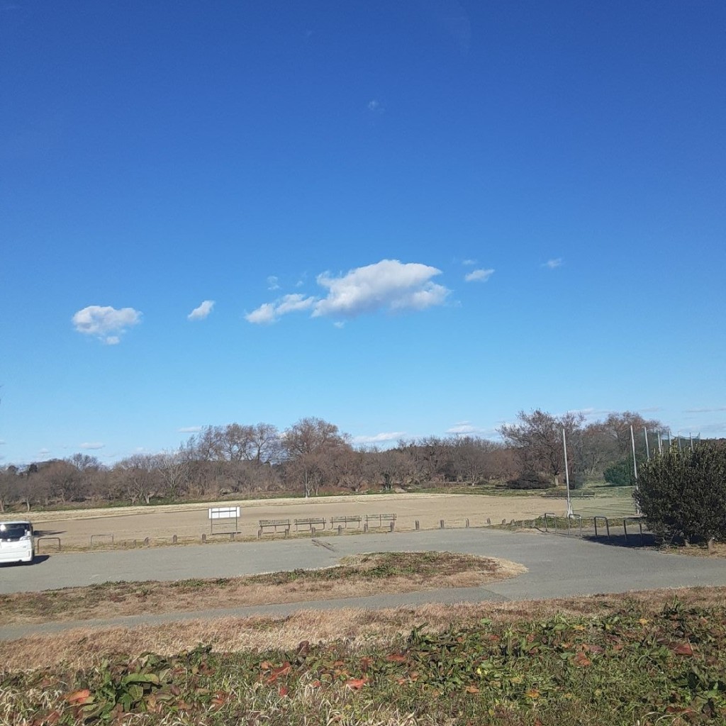 しのちゃんDB9さんが投稿した公園のお店利根川ゆうゆう公園/トネガワユウユウコウエンの写真