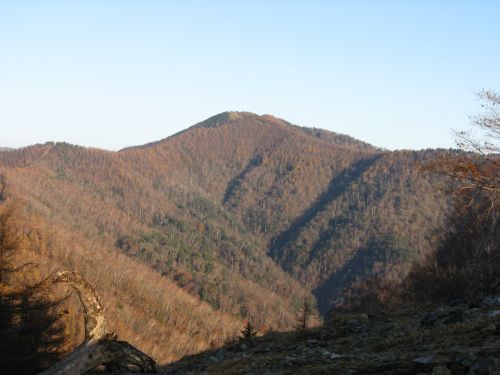 実際訪問したユーザーが直接撮影して投稿した山 / 峠雲取山の写真