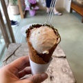 アイスクリーム - 実際訪問したユーザーが直接撮影して投稿した弦巻カフェPOPPYの写真のメニュー情報