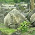 実際訪問したユーザーが直接撮影して投稿した須山動物園富士サファリパークの写真