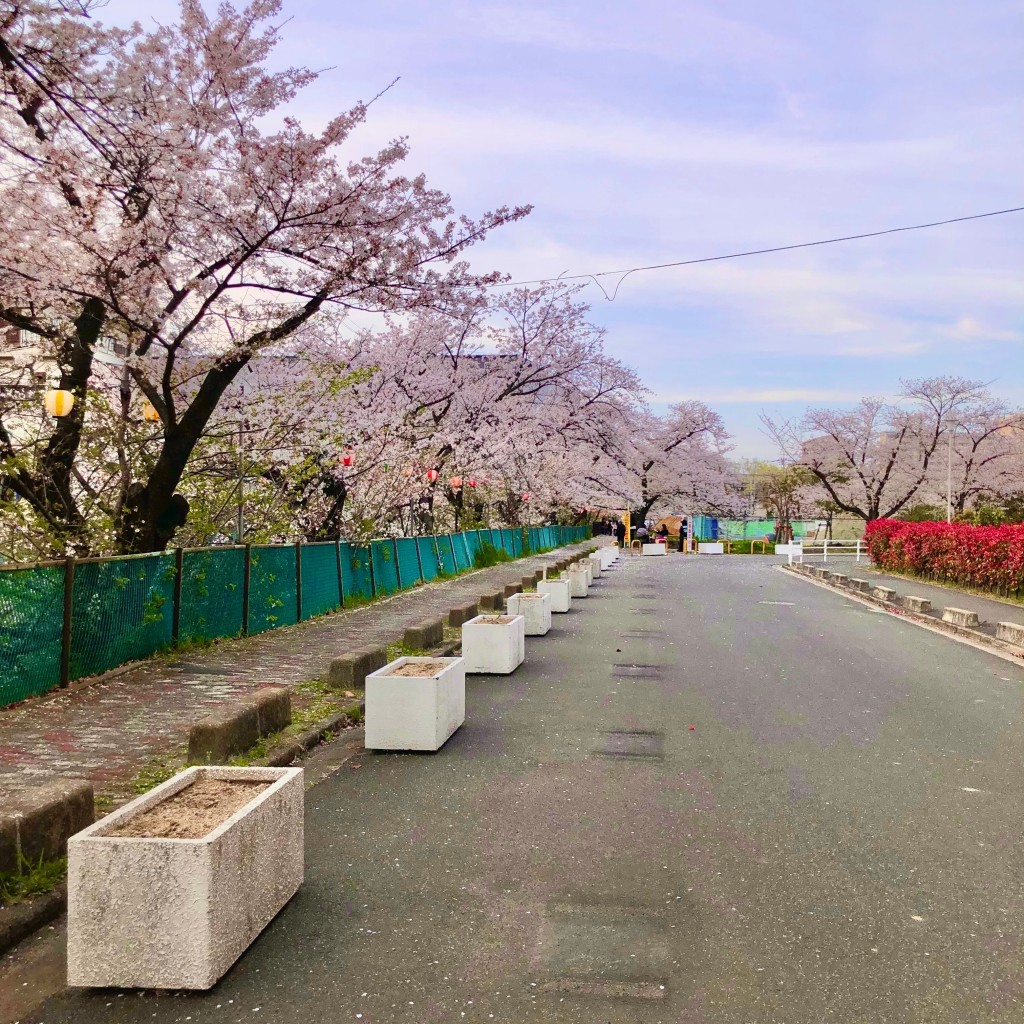 実際訪問したユーザーが直接撮影して投稿した三ツ島自然名所砂子水路の写真