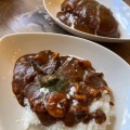 オムレツカレー - 実際訪問したユーザーが直接撮影して投稿した平田町三郷カレーラ・リーモの写真のメニュー情報