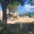 実際訪問したユーザーが直接撮影して投稿した安佐町大字動物園動物園広島市安佐動物公園の写真