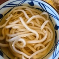 かけ - 実際訪問したユーザーが直接撮影して投稿した泉崎うどん丸亀製麺 仙台西多賀店の写真のメニュー情報