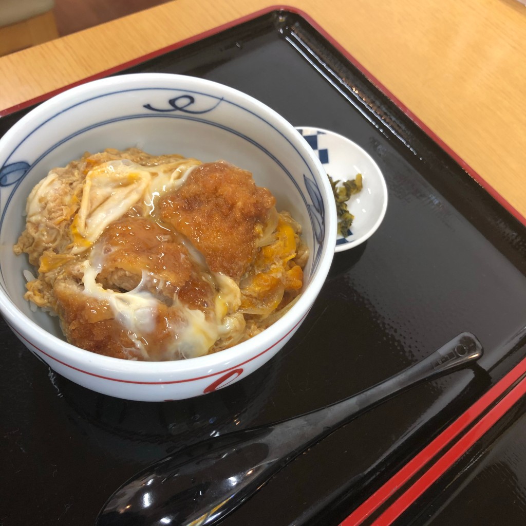 ユーザーが投稿したミニ丼の写真 - 実際訪問したユーザーが直接撮影して投稿した立岩うどん麺や 長政の写真