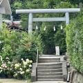 実際訪問したユーザーが直接撮影して投稿した坂ノ下神社御霊神社の写真