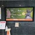 実際訪問したユーザーが直接撮影して投稿した一身田上津部田博物館三重県総合博物館(MieMu)の写真