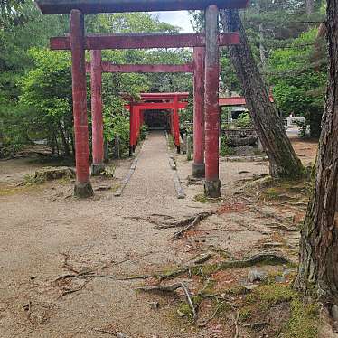 実際訪問したユーザーが直接撮影して投稿した上野丸之内神社城山稲荷神社の写真