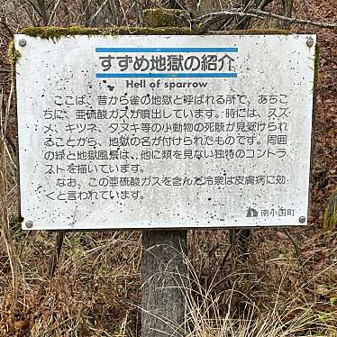 実際訪問したユーザーが直接撮影して投稿した満願寺岩雀の地獄と奇岩石の写真