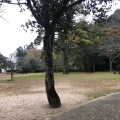 実際訪問したユーザーが直接撮影して投稿した仲ノ町公園打吹公園の写真