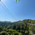 実際訪問したユーザーが直接撮影して投稿した天下野町橋竜神大吊橋の写真