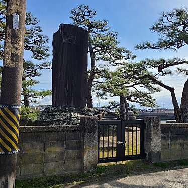 実際訪問したユーザーが直接撮影して投稿した神野新田町記念碑神野新田 紀徳之碑の写真