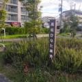 実際訪問したユーザーが直接撮影して投稿した高松町公園高松ひなた緑地の写真