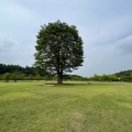 実際訪問したユーザーが直接撮影して投稿した寺尾町公園観音山ファミリーパークの写真