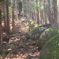 実際訪問したユーザーが直接撮影して投稿した木本町山 / 峠松本峠の写真