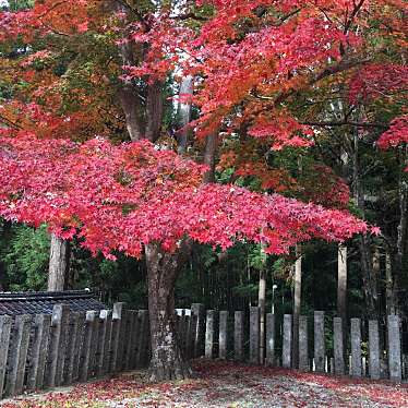 実際訪問したユーザーが直接撮影して投稿した園部町美園町神社生身天満宮の写真