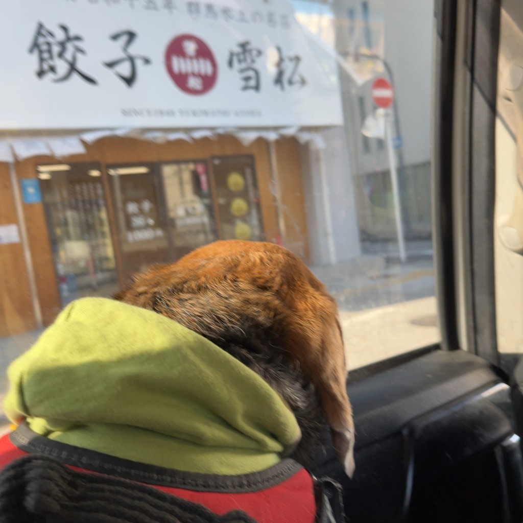 実際訪問したユーザーが直接撮影して投稿した太子橋餃子餃子の雪松 大阪太子橋店の写真