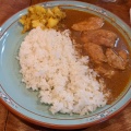 チキンカレー - 実際訪問したユーザーが直接撮影して投稿した新橋カレーザ・カリの写真のメニュー情報