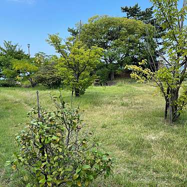 実際訪問したユーザーが直接撮影して投稿した宝町公園二河川公園の写真