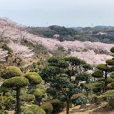 実際訪問したユーザーが直接撮影して投稿した福田町福田公園種松山公園西園地の写真