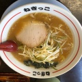 実際訪問したユーザーが直接撮影して投稿した杉ケ袋ラーメン / つけ麺ねぎっこの写真