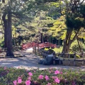 実際訪問したユーザーが直接撮影して投稿した丸の内公園町公園芦城公園の写真