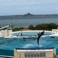 実際訪問したユーザーが直接撮影して投稿した石川水族館 / アクアリウムオキちゃん劇場の写真