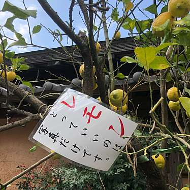 実際訪問したユーザーが直接撮影して投稿した千々石町戊うどん六兵衛茶屋 千々石店の写真