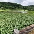 実際訪問したユーザーが直接撮影して投稿した金津植物園 / 樹木園新潟県立植物園の写真