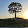 実際訪問したユーザーが直接撮影して投稿した大高町公園大高緑地の写真