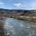 実際訪問したユーザーが直接撮影して投稿した桜ケ岡公園河川広瀬川の写真