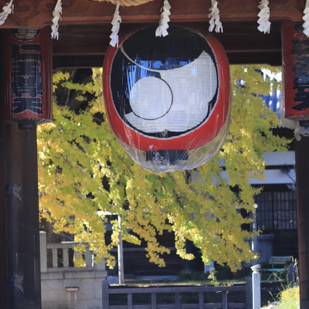 実際訪問したユーザーが直接撮影して投稿した下山自然名所本国寺のオハツキイチョウの写真