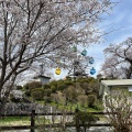 実際訪問したユーザーが直接撮影して投稿した千手町公園千手山公園の写真